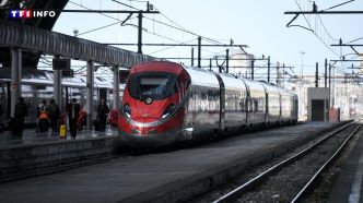 SNCF : la concurrence fait-elle baisser les prix ? | TF1 INFO