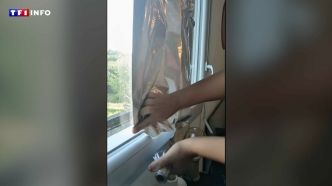 Canicule : aluminium, chaussettes, draps mouillés... À chacun ses astuces face à la chaleur  | TF1 INFO