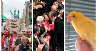 [Vidéo] Les cinq actus qu'il ne fallait pas manquer cette semaine au Luxembourg
