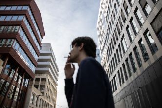 Qui fume encore en France ?
