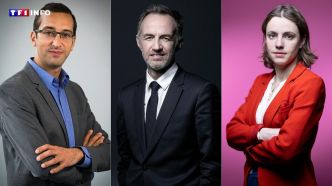 Qui au PS pour succéder à Anne Hidalgo ? À Paris, les militants votent pour désigner leur candidat aux municipales | TF1 INFO