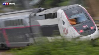 Un TGV Bordeaux-Paris percute une personne sur la voie, plus de 6 heures de retard à l'arrivée | TF1 INFO
