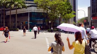 Canicule : à Singapour, une peinture captant l'humidité de l'air recouvre certains bâtiments