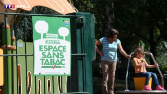 "Révolutionnaire, mais aussi très courageux" : voici le bilan de 50 ans de mesures anti-tabac | TF1 INFO