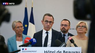 Canicule : qu'est-ce que la CIC et le COGIC, ces cellules mises en place en cas de crise ?  | TF1 INFO