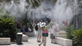 Pics de chaleur, «refuges climatiques», feux de forêt: la canicule s'intensifie dans le sud de l'Europe