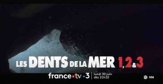 « Les dents de la mer » : la trilogie ce soir sur France 3 (30 juin 2025)