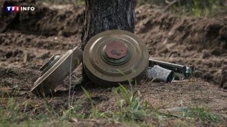 Pourquoi l'Ukraine veut se retirer de l'accord sur les mines antipersonnel | TF1 INFO
