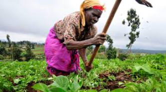Sommet ONU de Séville: «L'agriculture a été le maillon faible des investissements» en Afrique