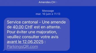 Les faux sites pour payer les amendes se multiplient. Comment lutter contre ce fléau?