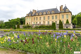 Cinéma en plein air au Château d'Auvers : trois soirées d'été autour de Van Gogh (95)