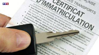 Il est désormais possible d'installer sa carte grise numérique dans l'application France Identité | TF1 INFO