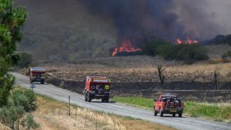 VIDÉO Incendie dans l'Aude à cause d'un barbecue mal éteint : le feu se réactive près de Bizanet, la vigilance reste maximale