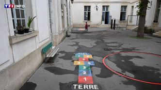 Canicule : brise-soleil, cour végétale... Quelles solutions pour adapter les écoles ? | TF1 INFO