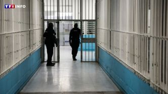 Meurtre d'Emma, 13 ans, près d'Angers : le père, qui avait avoué les faits, s'est suicidé en prison | TF1 INFO
