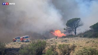 Incendies dans l'Aude : le feu fixé ce lundi soir, 400 ha de végétation détruits | TF1 INFO