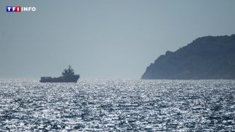 Vague de chaleur : la mer Méditerranée atteint une température jamais vue au mois de juin | TF1 INFO