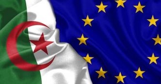 L'Algérie s'impose comme le 2ᵉ plus grand exportateur de ce produit vers l'Europe