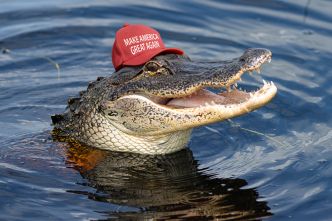 «Alcatraz des Alligators» : Trump inaugure un camp pour migrants au cœur des marécages