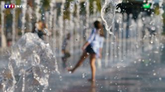 Canicule : ces lieux toujours frais vous aident à vous protéger de la chaleur | TF1 INFO