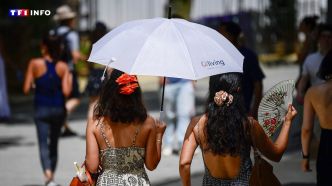 "On a même les yeux qui piquent" : les images de l'Europe qui suffoque sous la vague de chaleur | TF1 INFO