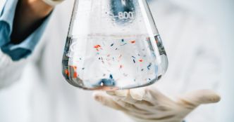 Santé. Les bouteilles en verre contiennent plus de microplastiques que les bouteilles en... plastique