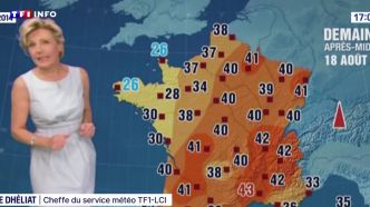 "Une fiction largement dépassée" : 11 ans plus tard, Evelyne Dhéliat revient sur son faux bulletin météo alarmiste pour 2050 | TF1 INFO