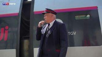"Votre attention s'il vous plaît, 2 trains sont actuellement à quai" : comment la SNCF cherche à augmenter le trafic  | TF1 INFO