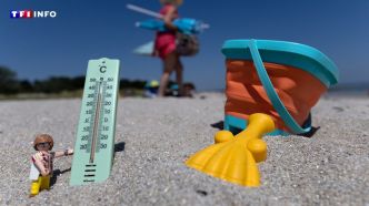 Canicule : où va-t-il faire le plus chaud (et le plus frais) ce mardi ? | TF1 INFO
