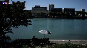Canicule : avant ce lundi, la France n'avait jamais connu une nuit et une journée aussi chaude en juin | TF1 INFO