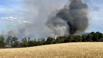 Un incendie se déclare près de Carcassonne : le feu parcourt quatre hectares