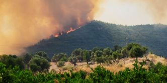 Feux de forêt: Des incendies poussent 50 000 personnes à l'évacuation en Turquie