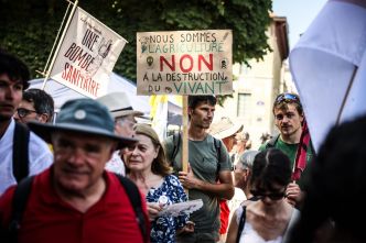 Loi Duplomb : députés et sénateurs s'entendent sur un compromis qui prévoit la réintroduction de l'acétamipride, un pesticide interdit dans l'agriculture depuis 2018