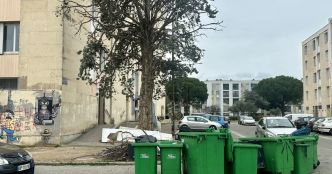 Féminicide. Jessica, mère de famille de 37 ans, a été massacrée à Avignon devant ses enfants par son mari : près de 30 plaies faites avec un couteau