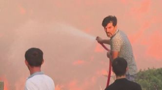 "Nous avons survécu, sans dormir" : 50 000 habitants évacués en Turquie, le pays en proie à de violents incendies
