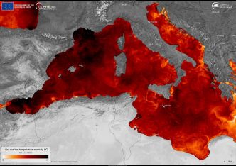 Réchauffement de la Méditerranée : alerte aux courants marins mortels cet été