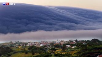 "On s'est mis à courir" : un impressionnant "nuage rouleau" déferle sur les côtes du Portugal  | TF1 INFO