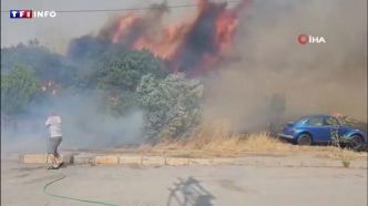 "Je ne peux pas regarder ça" : des centaines de maisons ravagées par des incendies en Turquie  | TF1 INFO