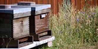 Mon voisin a installé des ruches dans son jardin : puis-je m'y opposer ? Que dit la loi ?