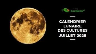 Jardiner avec la Lune Juillet 2025 (Calendrier lunaire jardin)