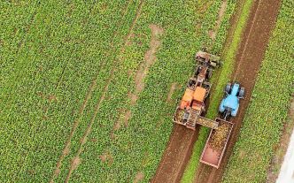 Loi Duplomb : députés et sénateurs trouvent un compromis incluant la réintroduction d'un pesticide