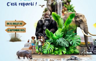 Gabon : Lancement officiel le lundi 30 juin du e-Visa gratuit