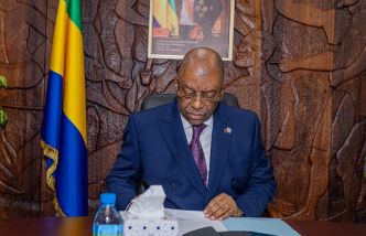 Gabon : Comment élaborer une cartographie exhaustive des ressources naturelles du pays ?