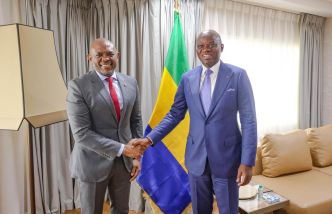 Gabon : Le Chef de l’Etat a reçu Tony Elumelu