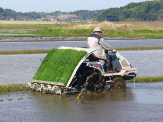 Prix du riz en baisse | Cessez-le-feu | Demande de conseils