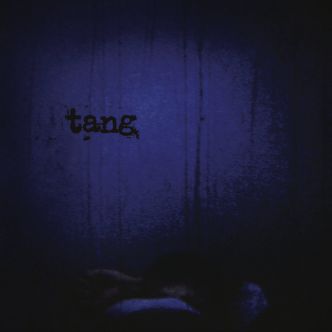 Tang : Réédition de This Quietness Booms About On The Walls Like Birds In Panic