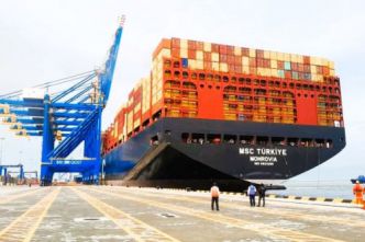Port de Kribi : la hausse du trafic à 12,7 millions de tonnes en 2024 génère un chiffre d'affaires de 35,3 milliards (+24%)