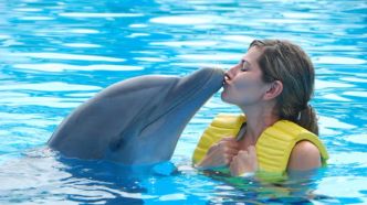 Cette femme a épousé… un dauphin