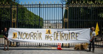 Loi Duplomb sur l'agriculture : députés et sénateurs trouvent un compromis