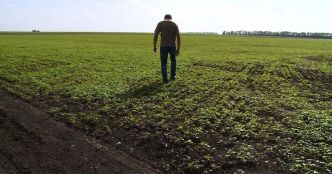 UE - Ukraine : un nouvel accord sur l'importation de produits agricoles